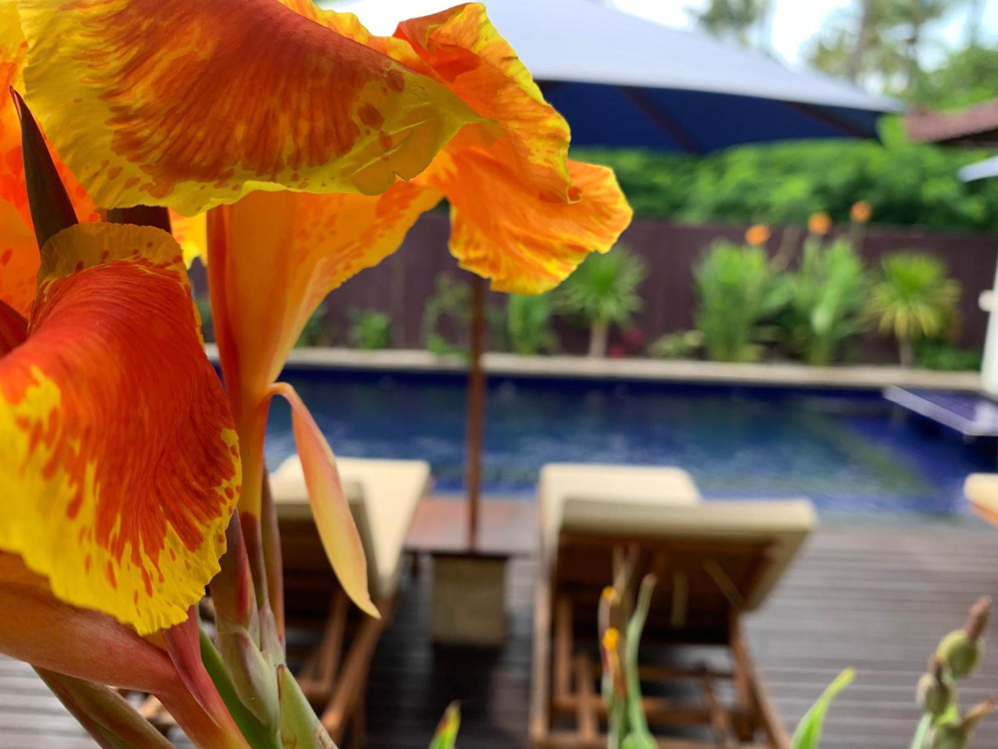 Relax Villas Gili Islands Exterior photo